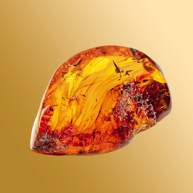 Инклюзы натуральные в камне